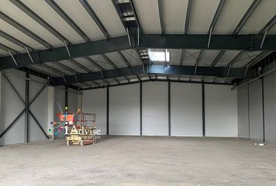 SPATIU INDUSTRIAL NOU 540 MP /PAR INDUSTRIAL PREJMER - 2