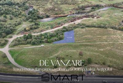 Teren 600mp pe Valea Avrigului - 2