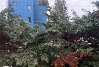 Garsonieră în Central - 6