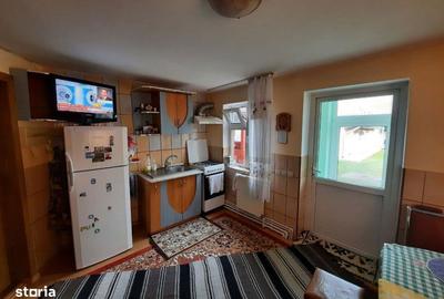 Casă cu 4 camere cu Teren 5500 Mp în Central - 17