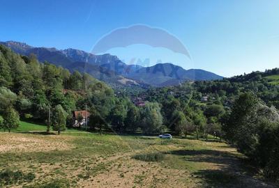 Teren 5,174mp Bran / Strada Colibasilor la 800 m de centrul Branului - 9