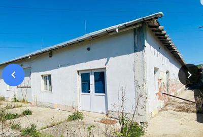 Spațiu comercial, de 300 mp, în Uricani - 6
