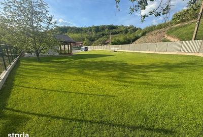 Teren de 1350 mp, în Cetate - 3