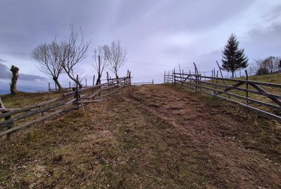 Teren cu energie speciala, Pestera/ 13570mp extravilan/Comision 0 % - 4