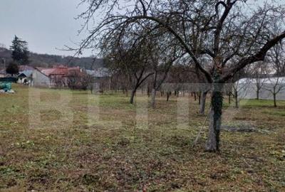 Teren Intravilan ideal pentru investitie, 2497mp, Turda - 5