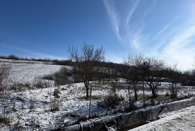 Teren Construcții intravilan de 1000 mp, în Ghercești - 4