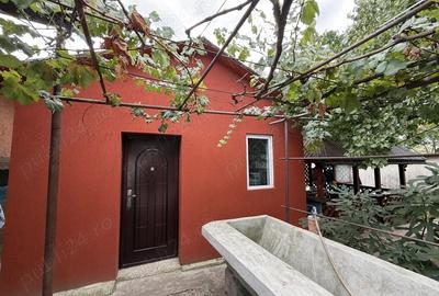 Casă în Prundu - 2