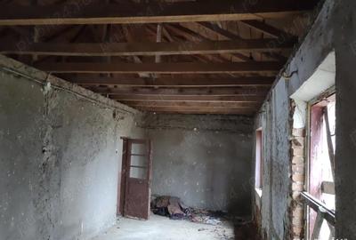 Casă cu Teren 4900 Mp în Tătăranu - 5