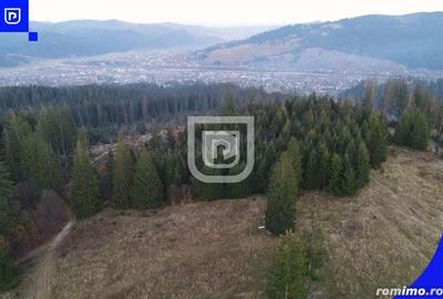Teren situat in Frasin | BUCOVINA - 5