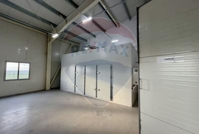 Spațiu industrial, de 700 mp, în Piscu - 10