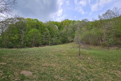 Teren intravilan 1454 mp la marginea padurii zona locuita de case! - 1