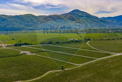 Teren agricol extravilan de 13800 mp, în Glăjărie - 2
