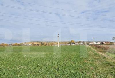 Teren in Razvad intravilan 1400mp cu acces la curent electri - 4