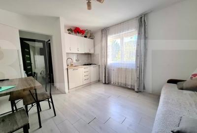 Apartament 1 camera cu balcon - zona Parcul Tineretului - 1