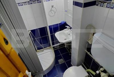 Hotel/Pensiune, în Brazda lui Novac - 17