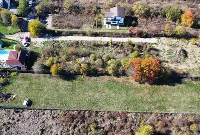 Teren de vanzare in Vladiceasca, 720mp, langa DN1 - Snagov Plaza - 9