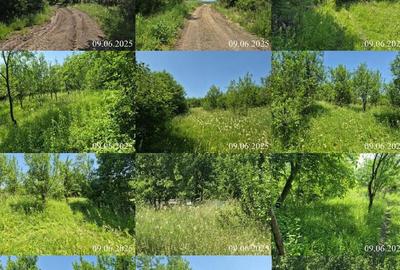 Teren extravilan, loc. Bobohalma, jud. Mures - 1