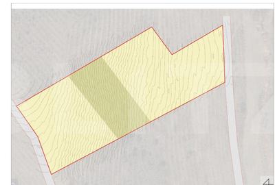 Teren pentru investitie cu aviz de oportunitate pentru 130 d - 3