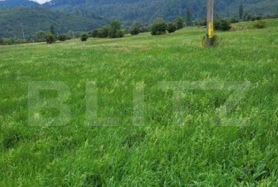 Teren de 2300 mp, în Central