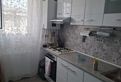 Apartament cu 2 camere decomandat în Roșu - 10