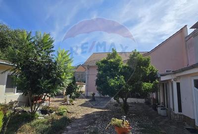 Casa cu etaj deosebita in Chisineu-Cris - un camin creat cu suflet - 10