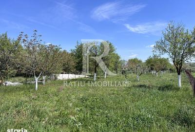 Casă cu 1 camere cu Teren 3000 Mp în Copăcel - 3