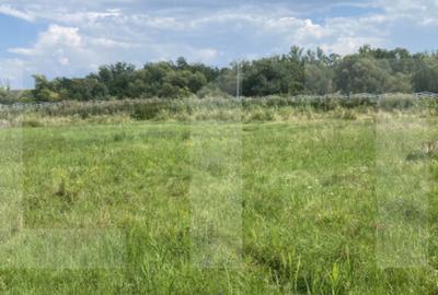 Teren intravilan 1.000 mp cu PUZ aprobat langa Sepsi A - 3