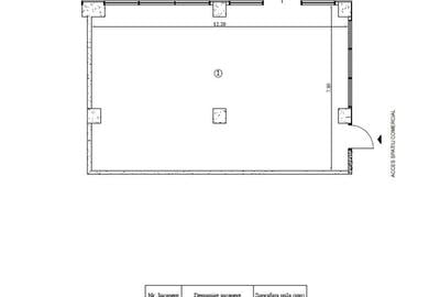 Spațiu comercial, de 94.300003051758 mp, în Bucium - 8