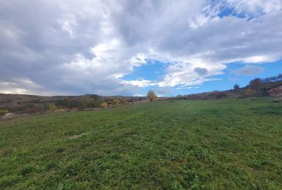 Teren Construcții intravilan de 602 mp, în Borhanci - 3