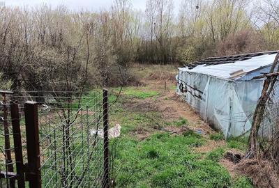 Casă cu Teren 1512 Mp în Udeni - 5