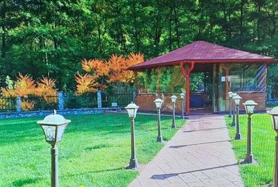 Casă individuală cu 10 camere cu Canalizare în Marga - 24