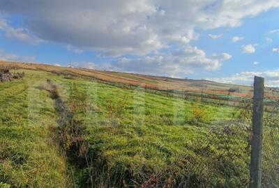 Teren extravilan, 7800 mp, intrare in ?imleu Silvanie - 1