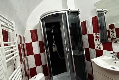 Apartament 3 Camere De Inchiriat Boul Rosu - 12