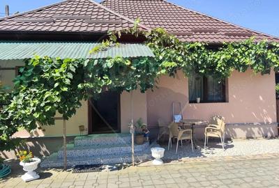 Casa cu 2 camere, de vanzare, in Lapusel! - 3