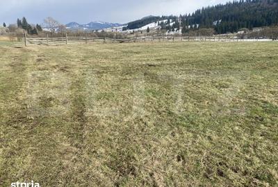 Teren de 12500 mp, în Poiana Stampei - 5