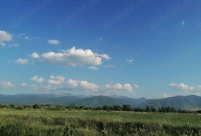 Casa cu teren de vanzare - sat PE?TEANA - 3