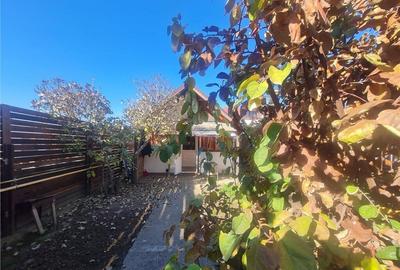 Doua casute tip A Frame, totul pe un teren de 300 mp, Ghimba - 1