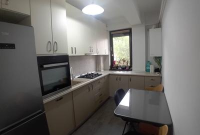 Apartament cu 2 camere, gradina, AC, mobilat, Visoianu - 3