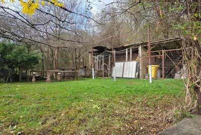 Casă cu 2 camere cu Teren 3080 Mp în Sighișoara - 19