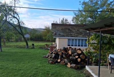 Casa si teren 2000mp Draguseni - 2