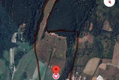 Casa de vanzare in Stanomiru  Judetul Valcea cu un teren in suprafata de 320000 - 10