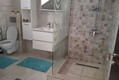 Duplex cu 4 camere cu Teren 250 Mp în Olteni - 6
