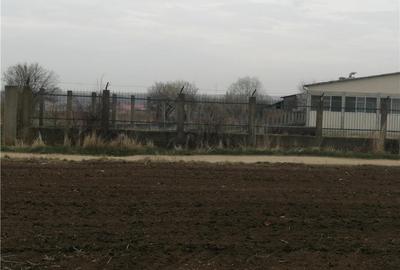 Teren de 8800 mp, în Vinerea - 1
