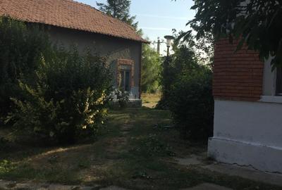 Teren intravilan de 490000 mp, în Iancu Jianu - 7