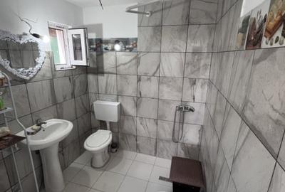 Casa de vacanta - Munteni Buzau - Jutetul Ialomita - Curte 2000mp - 7