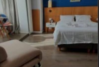 Vânzare garsoniera cocheta Piața Victoriei - 1