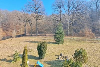 Propriete superbă la marginea pădurii în Râșnov Primăverii 5,000 mp - 5