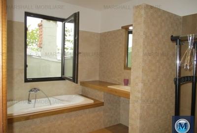 Spatiu  birouri de vanzare, zona Rudului, 269.9 mp #11861 - 15