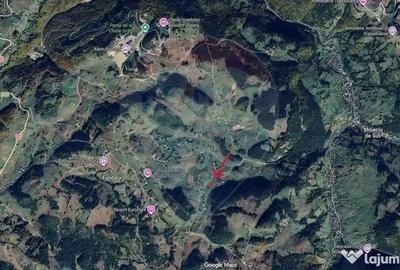 Teren de 1380 mp, în Fundata - 6