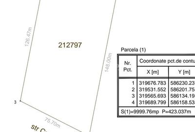 Teren de 10000 mp, în Giurgiului - 6